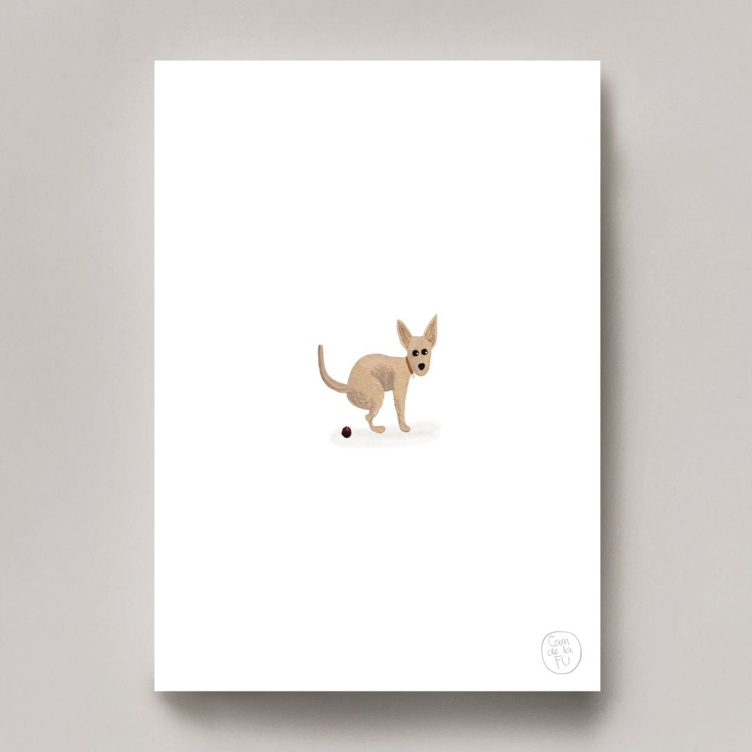 Chihuahua