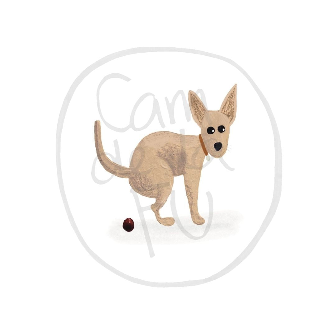 Chihuahua