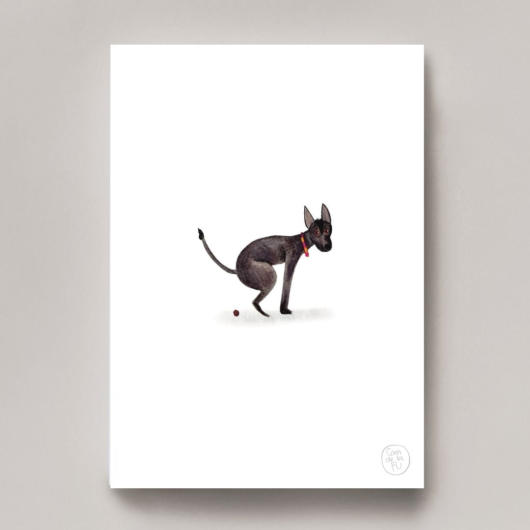 Xoloitzcuintle