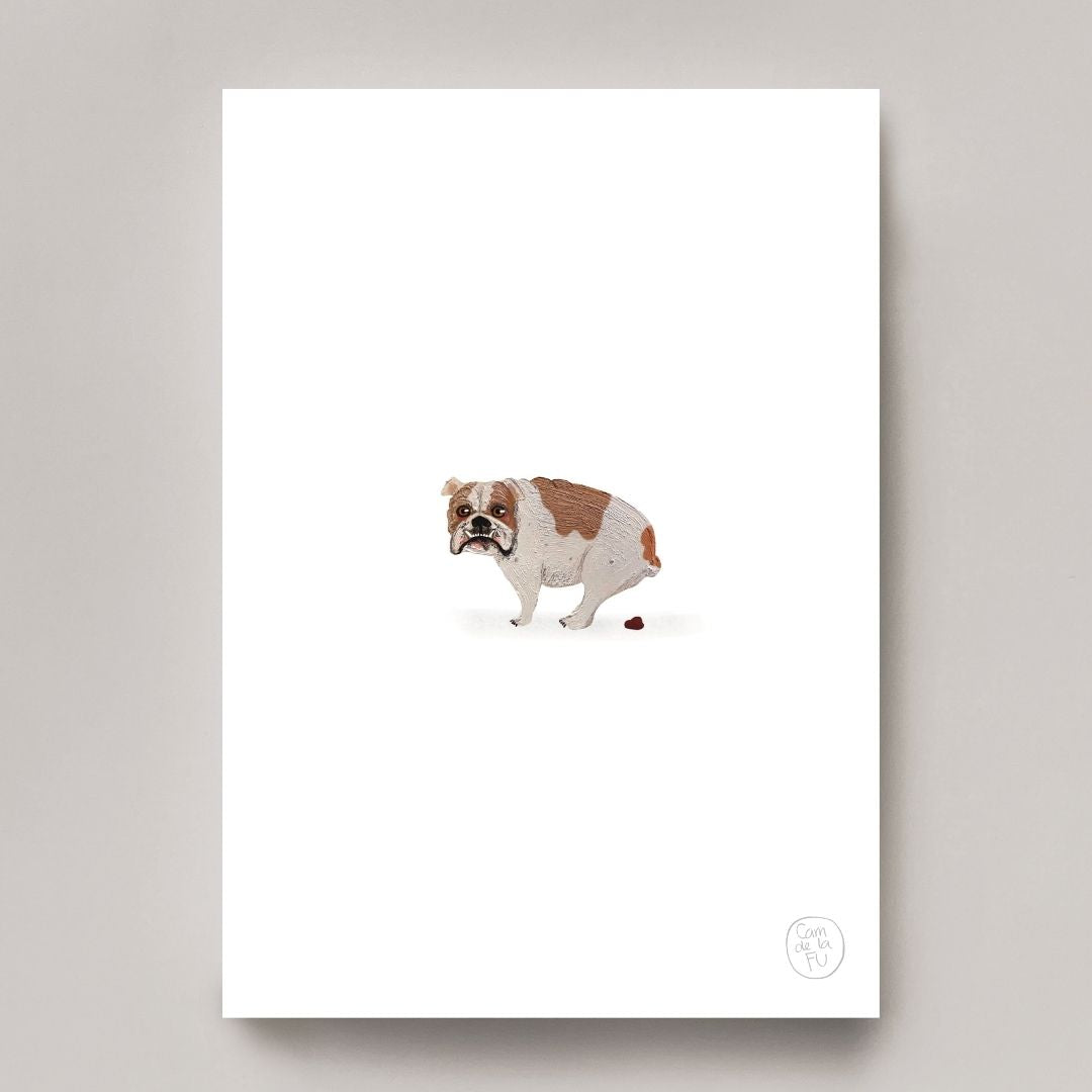 Bulldog