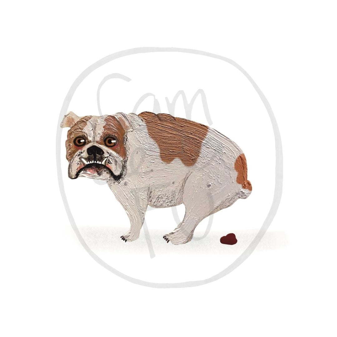 Bulldog