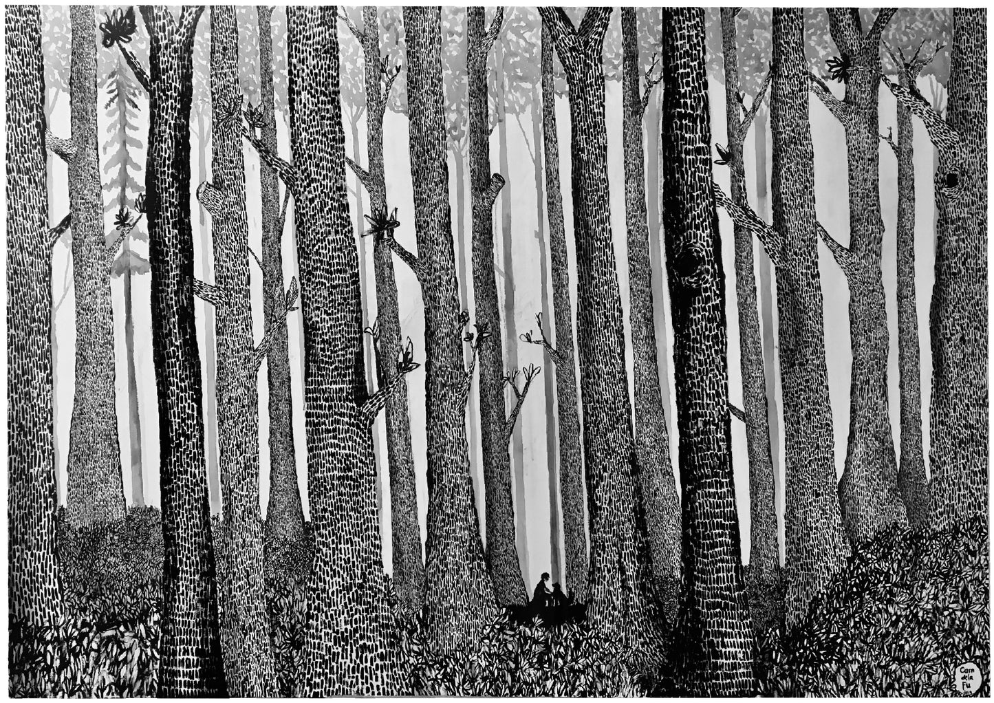 Nuestro Bosque