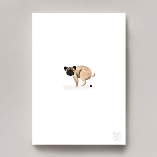 Pug