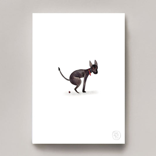 Xoloitzcuintle